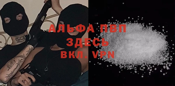стаф Баксан