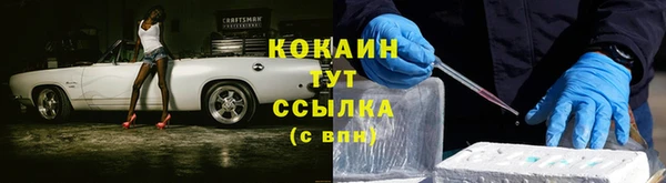 стаф Баксан