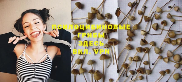 шишки Балабаново