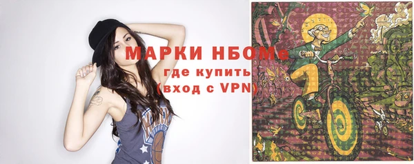 стаф Баксан