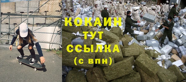 шишки Балабаново
