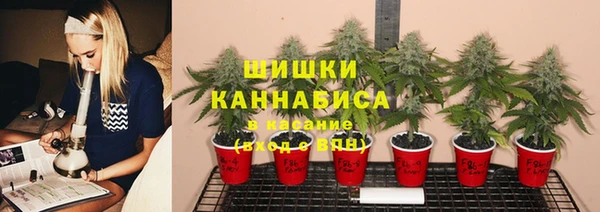 ешки Балахна